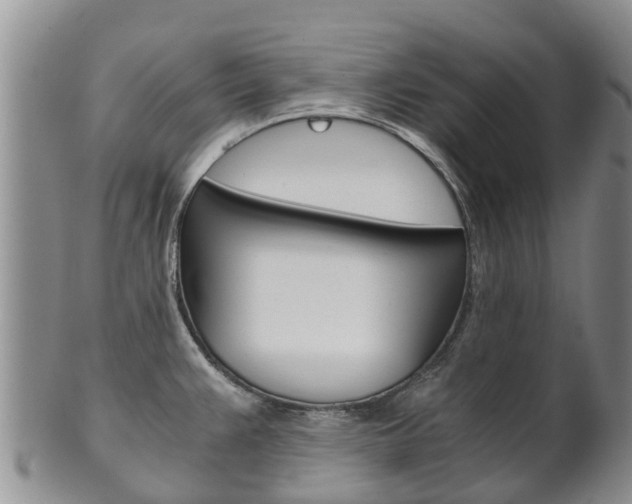 X0000102521383200808081020