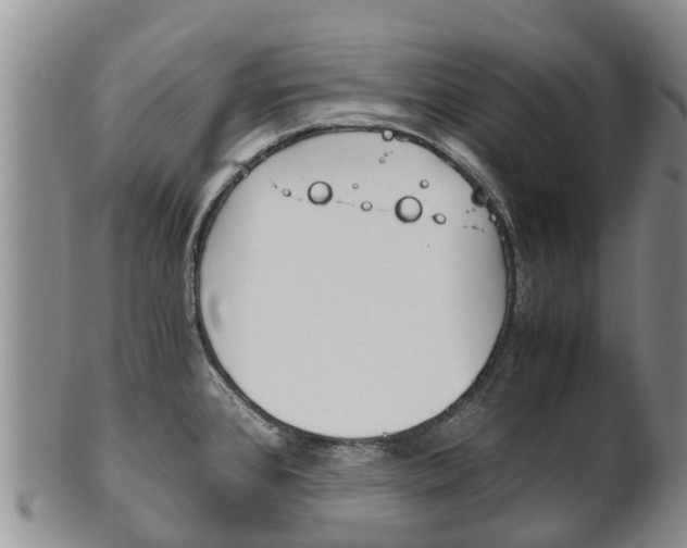 X0000102521384200808081020