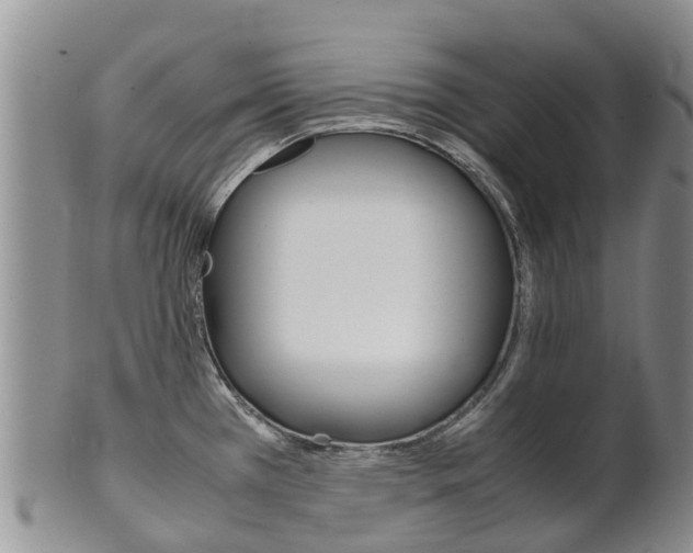 X0000102521385200808081020