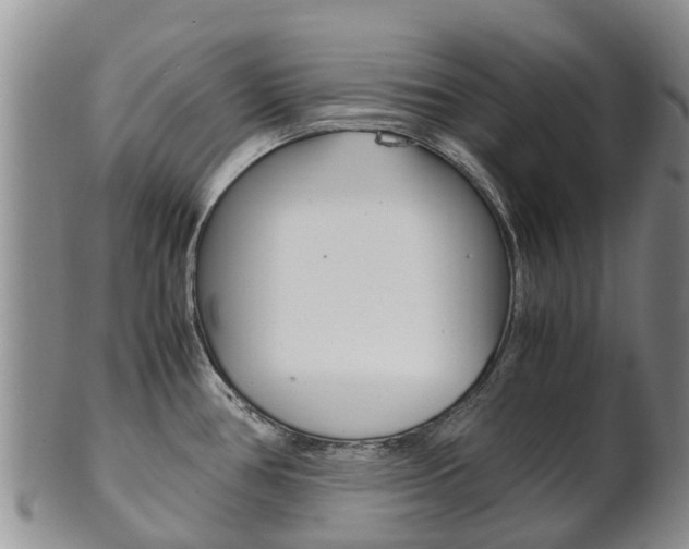 X0000102521386200808081020