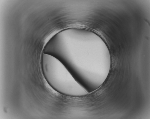 X0000102521387200808081020