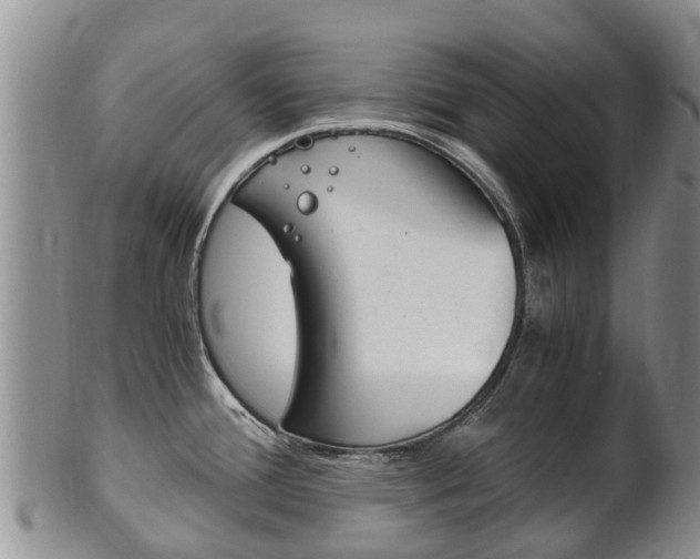 X0000102521388200808081019