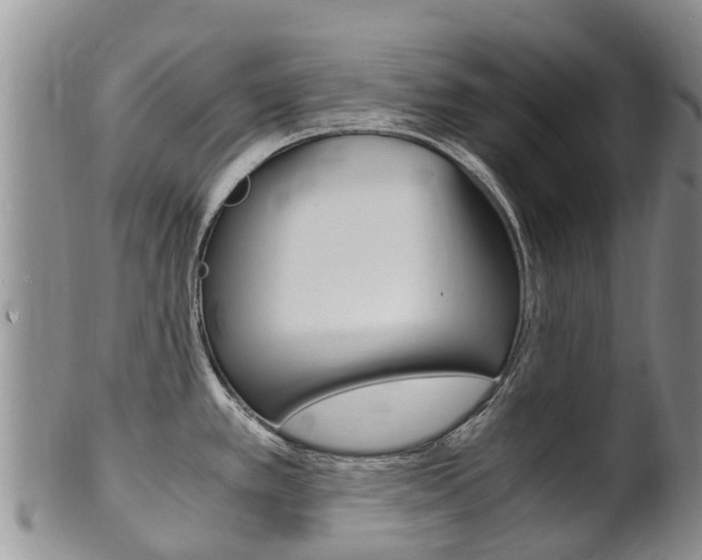 X0000102521389200808081019