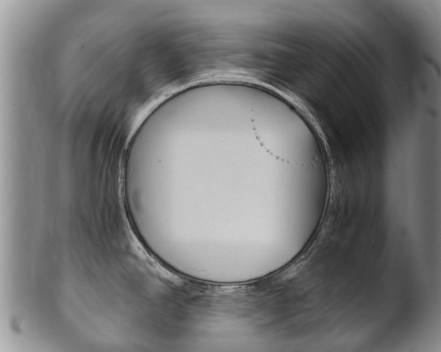 X0000102521390200808081019