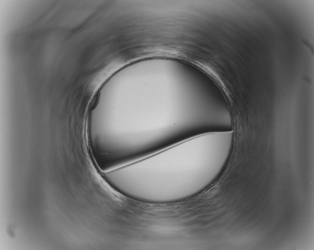 X0000102521391200808081019