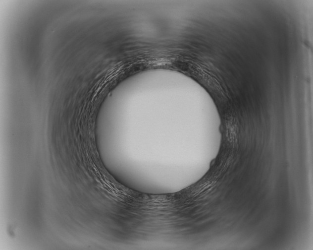 X0000102521393200808081018