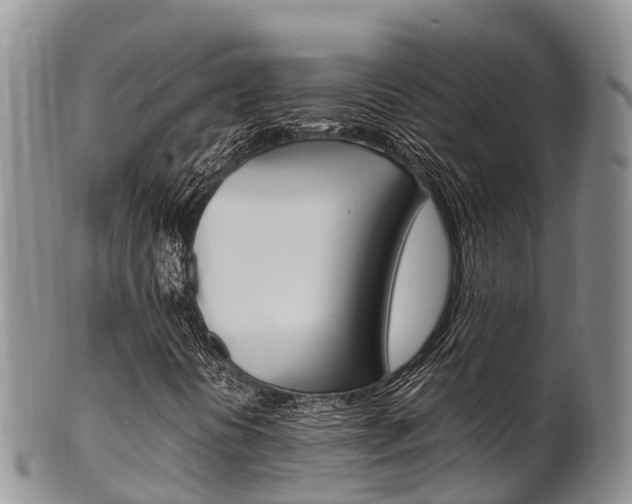 X0000102521394200808081018