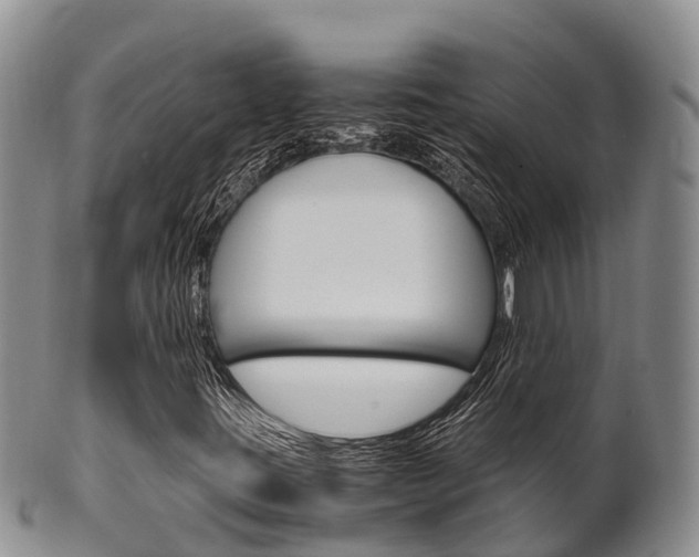 X0000102521395200808081018