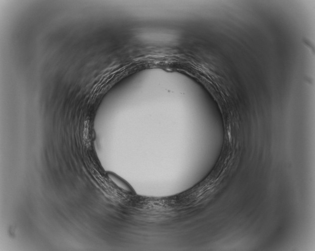 X0000102521396200808081018