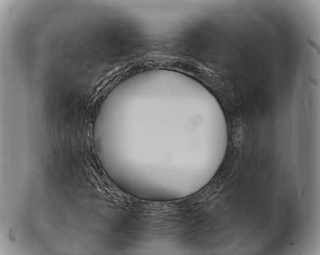 X0000102521397200808081018
