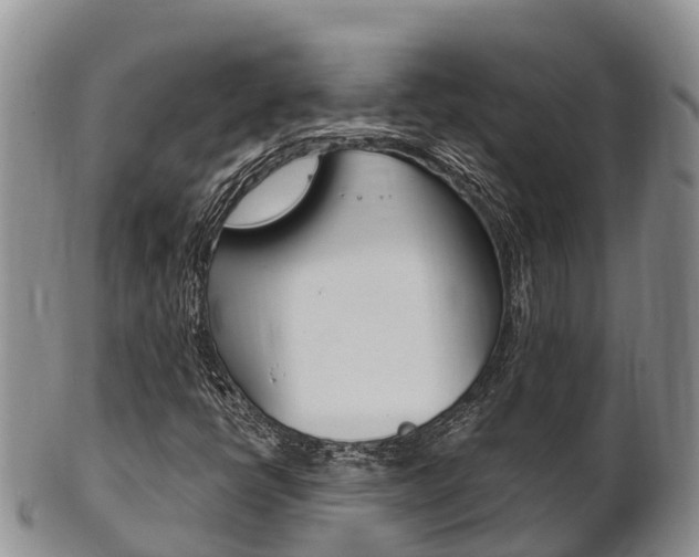 X0000102521398200808081019
