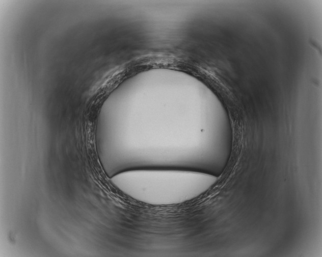 X0000102521399200808081019