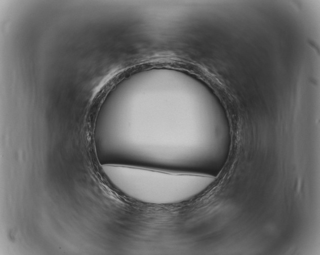 X0000102521400200808081019
