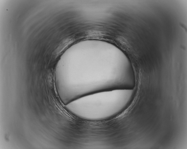 X0000102521401200808081019