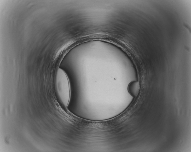 X0000102521402200808081019