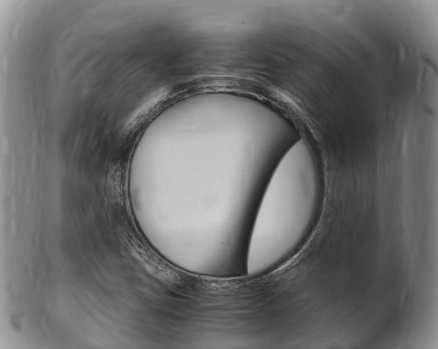 X0000102521403200808081019