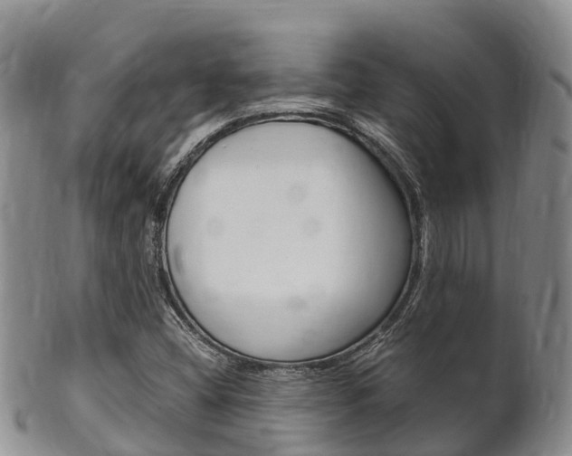 X0000102521404200808081019