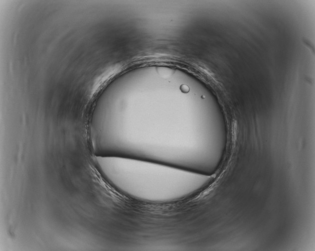 X0000102521405200808081019