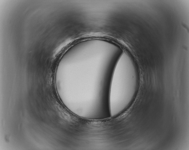 X0000102521406200808081019
