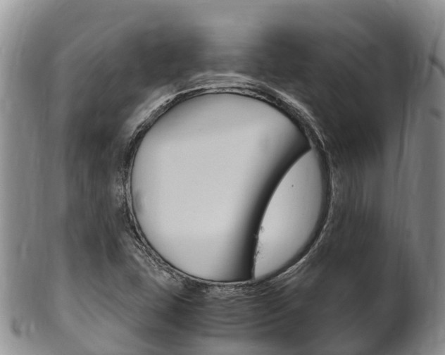 X0000102521407200808081019