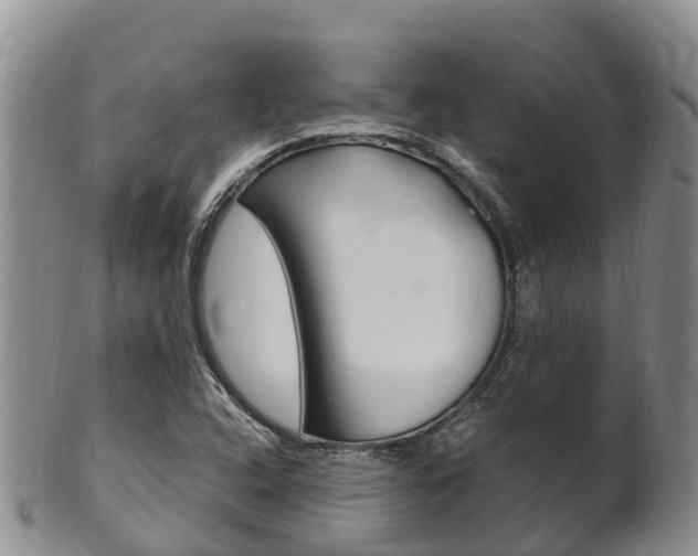 X0000102521408200808081019