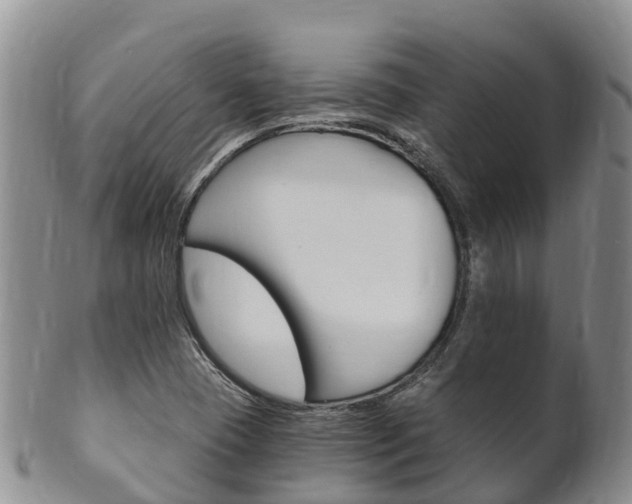 X0000102521409200808081019