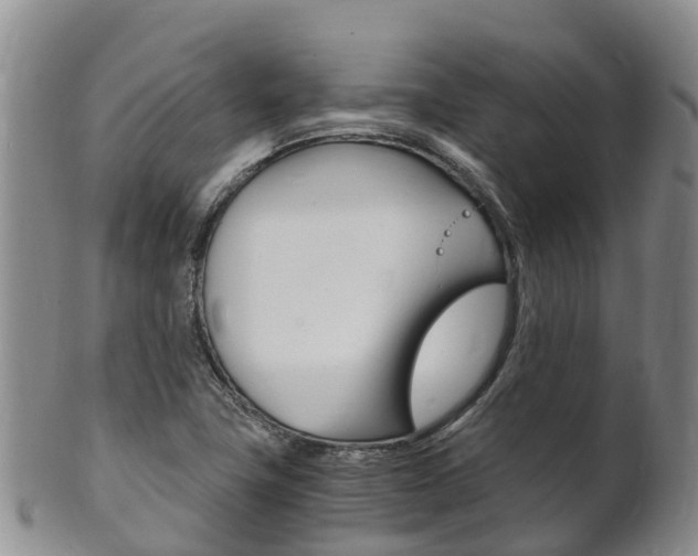 X0000102521411200808081019