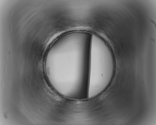 X0000102521412200808081019