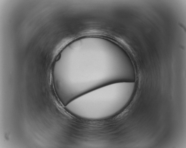 X0000102521413200808081019