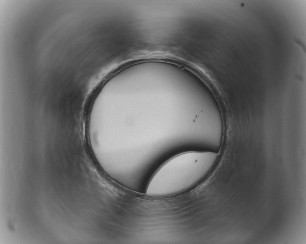 X0000102521414200808081019