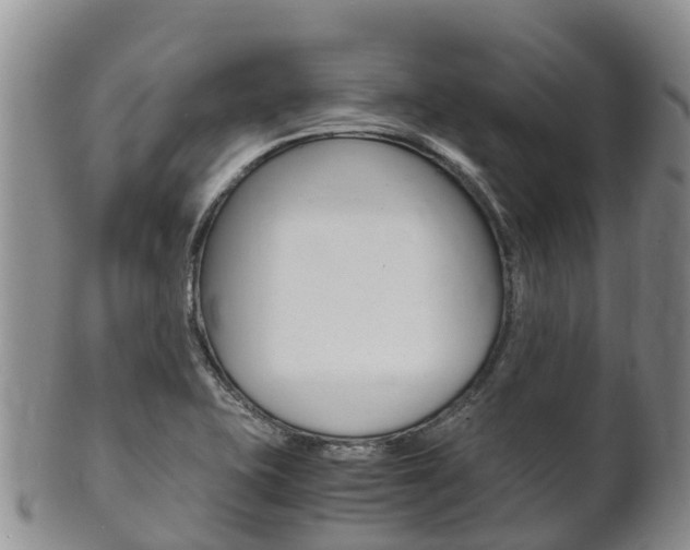 X0000102521415200808081019
