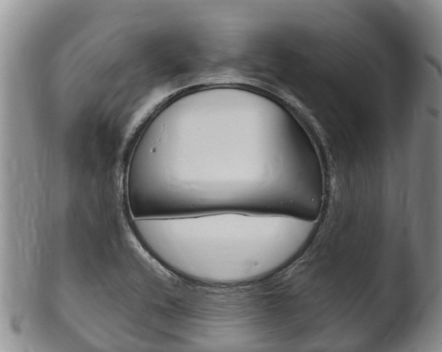 X0000102521416200808081019