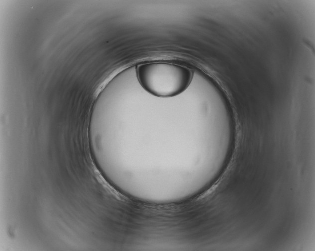 X0000102521417200808081019
