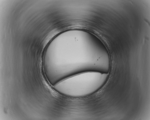 X0000102521418200808081019