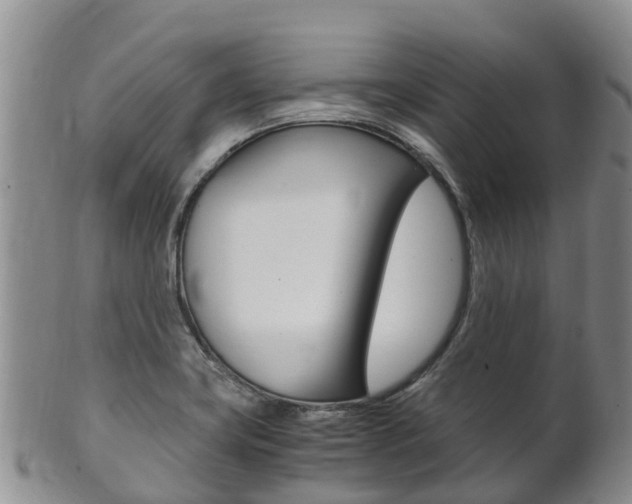 X0000102521419200808081019