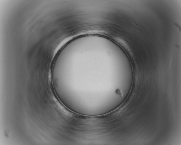 X0000102521420200808081019