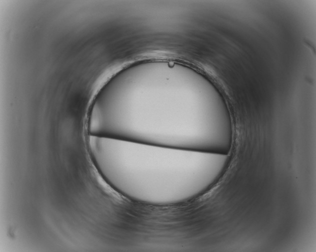 X0000102521421200808081019
