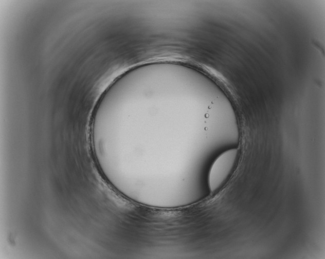 X0000102521423200808081019