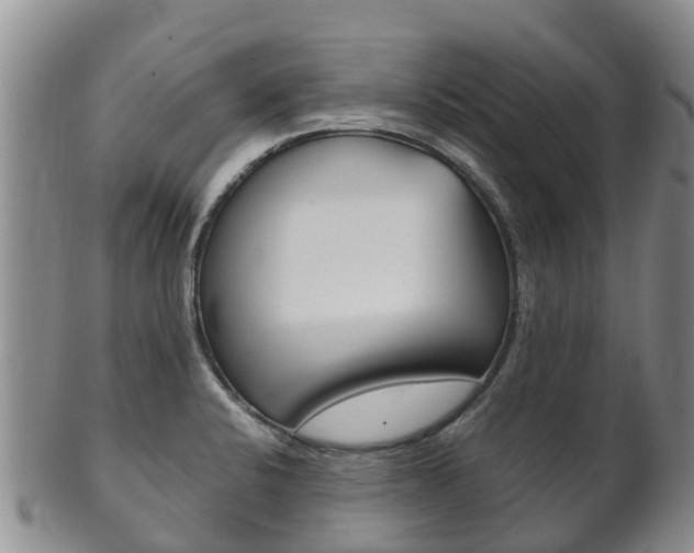 X0000102521424200808081019