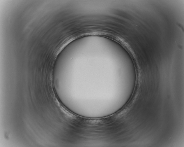 X0000102521425200808081019