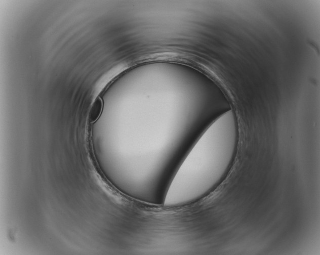 X0000102521426200808081019