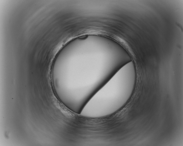 X0000102521427200808081019