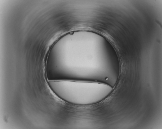 X0000102521430200808081019