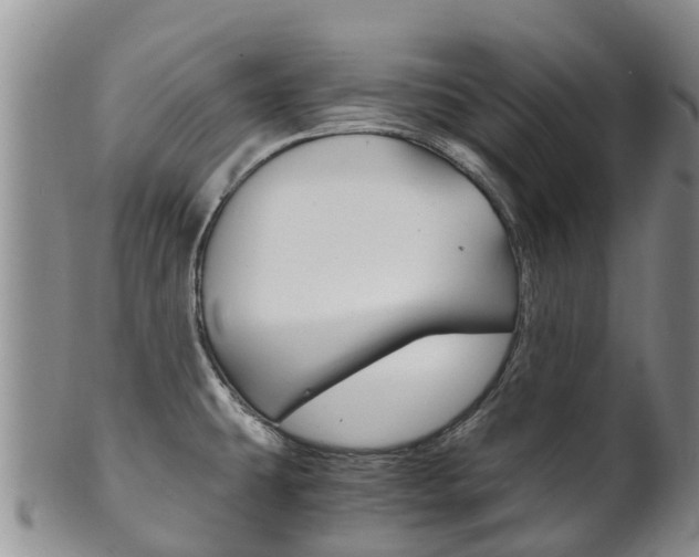 X0000102521431200808081019