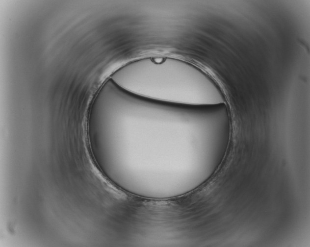 X0000102521432200808081019