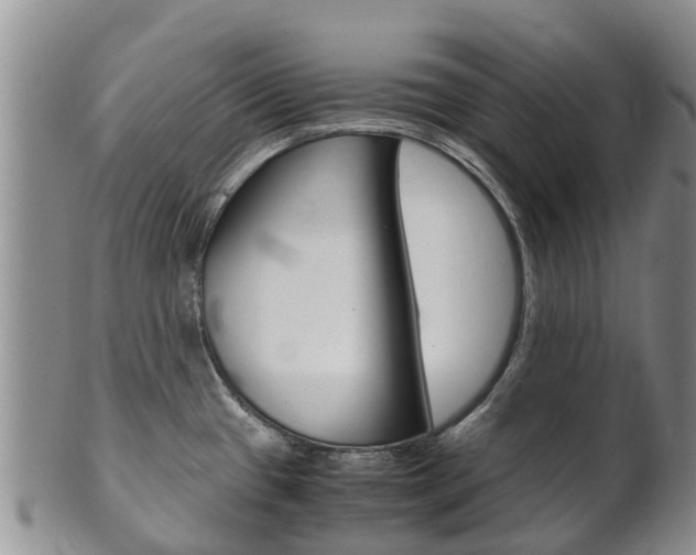 X0000102521433200808081019