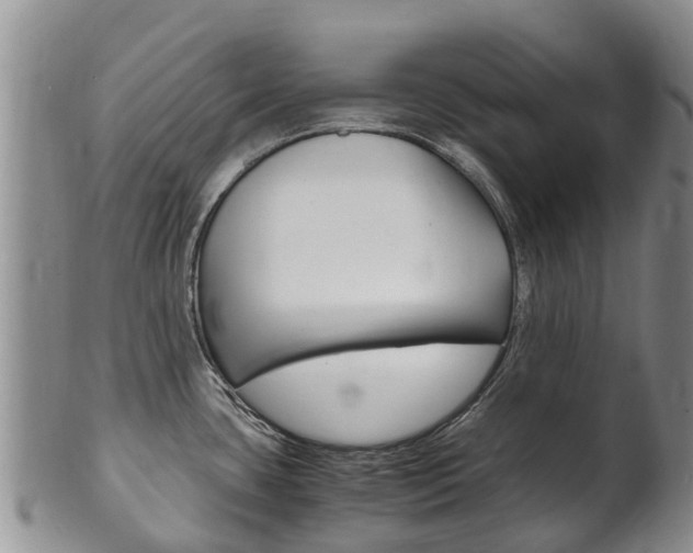 X0000102521435200808081019
