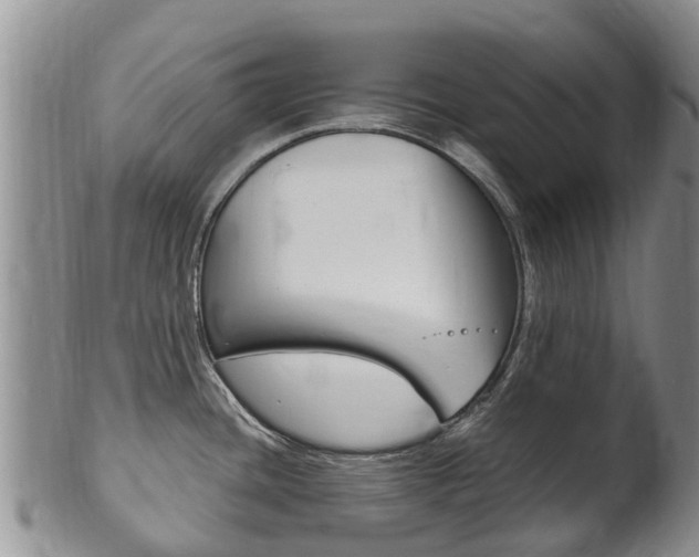 X0000102521436200808081019