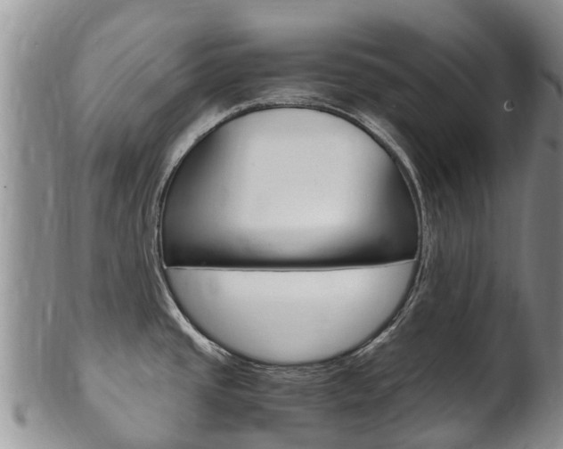 X0000102521437200808081019