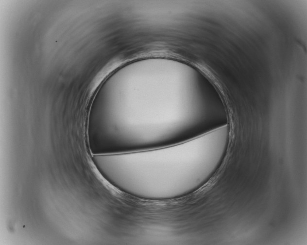 X0000102521438200808081019